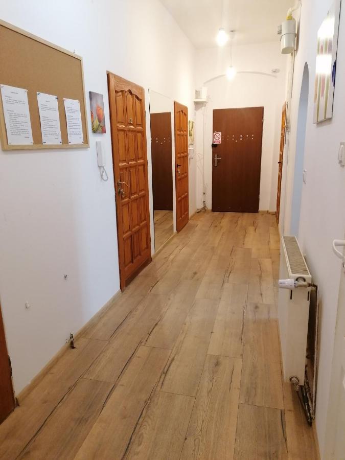 Hostel Tulip - Pokoj Jednoosobowy Nr 3 Ze Wspolna Lazienka I Kuchnia شتشيتسين المظهر الخارجي الصورة
